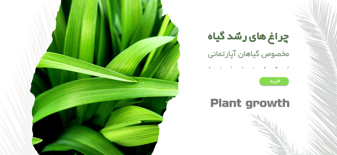 چراغ رشد گیاه