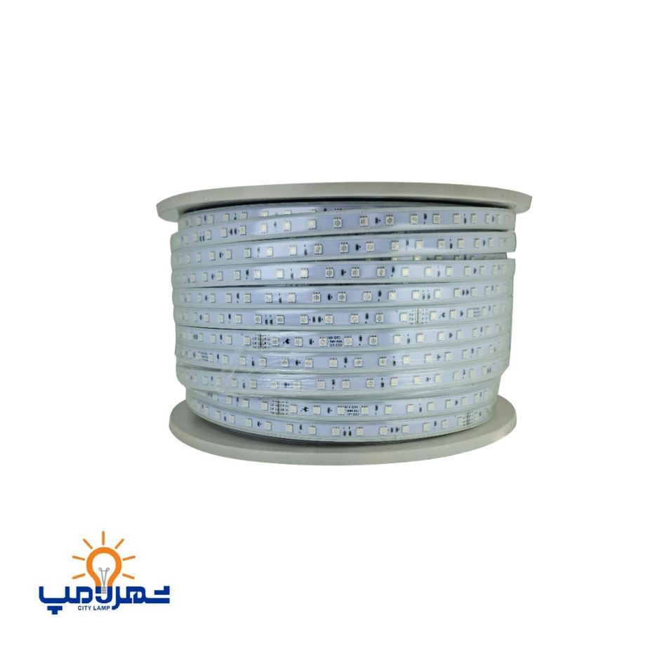 ریسه شلنگی هفت رنگ (RGB) رویالوکس پارس شعاع 60 چیپ 100 متری