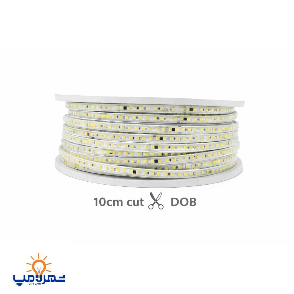 ریسه شلنگی 8 وات 3535 رویالوکس 120 برش 10 سانت DOB سوکت فری پارس شعاع توس (100 متری)